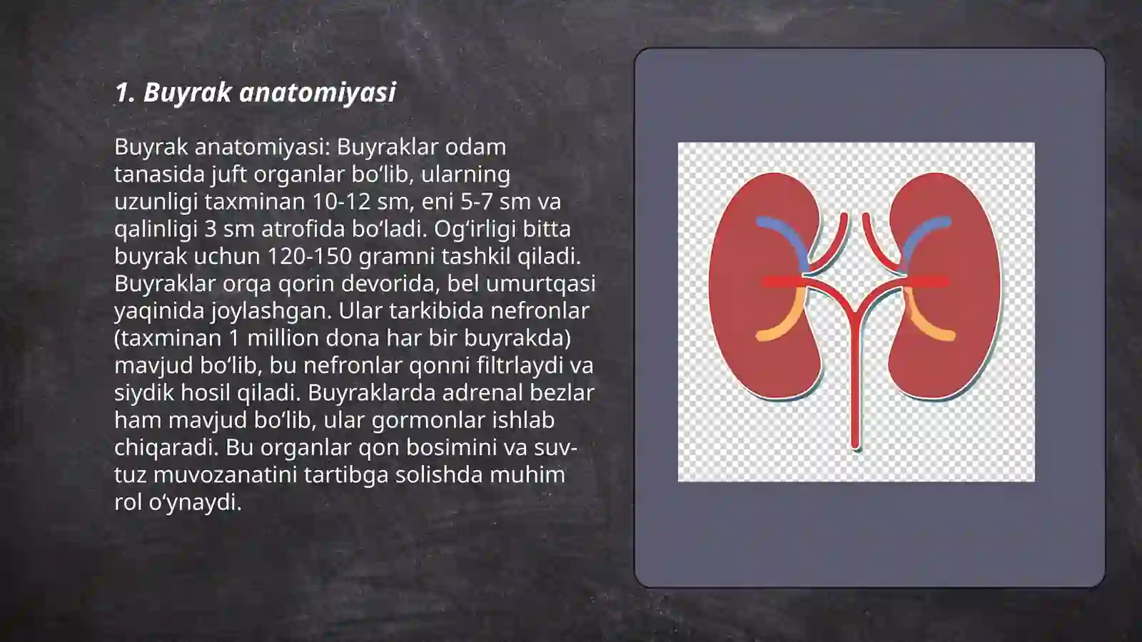 Buyrak 3