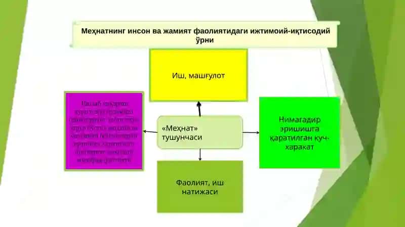 Меҳнат бозори ва корхоналарда меҳнат ресурсларидан фойдаланиш 3