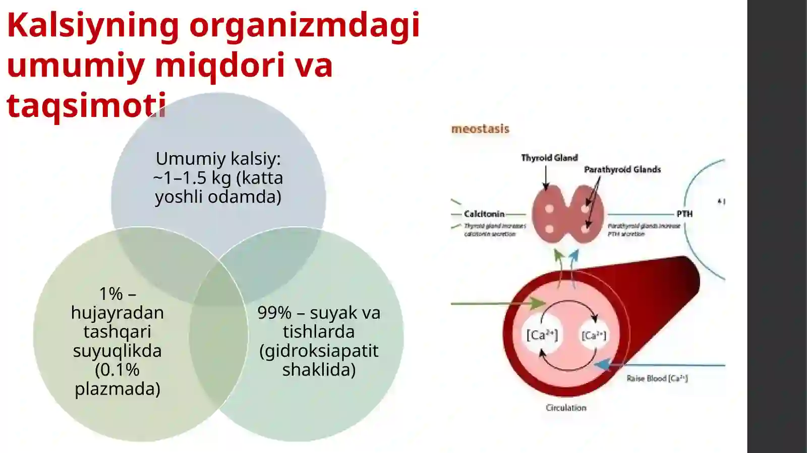 Kalsiy fosfat almashinuvi 3