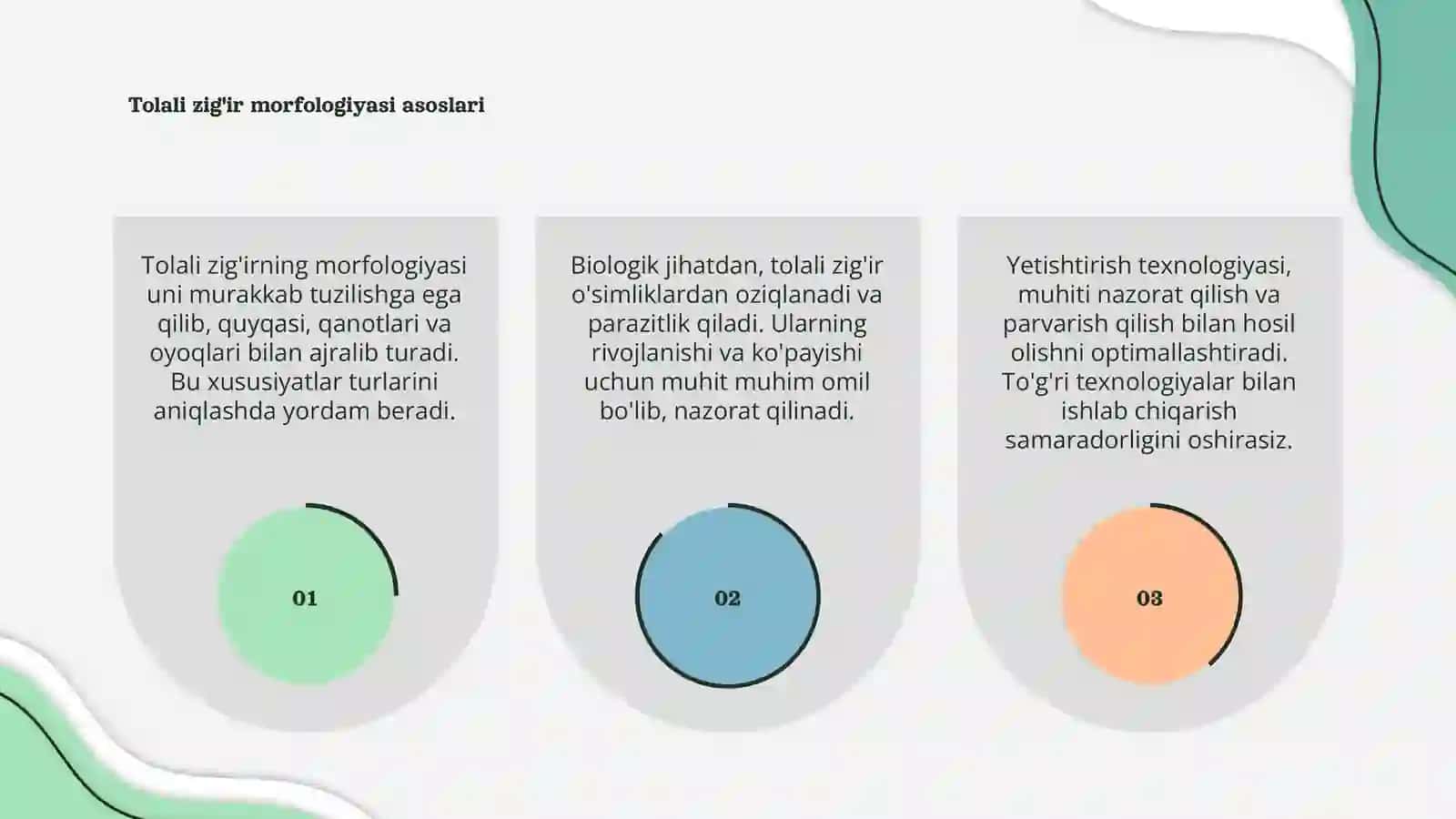 Tolali zig'ir morfologiyasi, biologiyasi va yetishtirish texnologiyasi 3