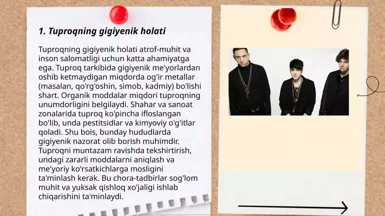 Tuproqning sanitar epidemiologik ahamiyati 3