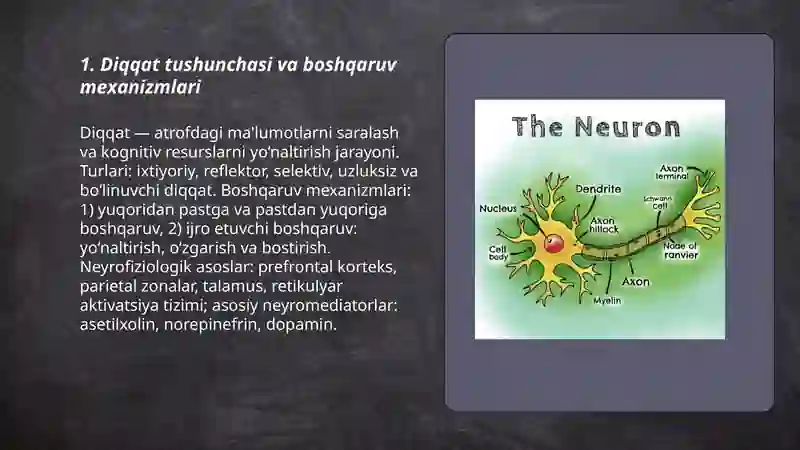Diqqat haqida tushuncha va uning nerv-fiziologik asoslari 2 3