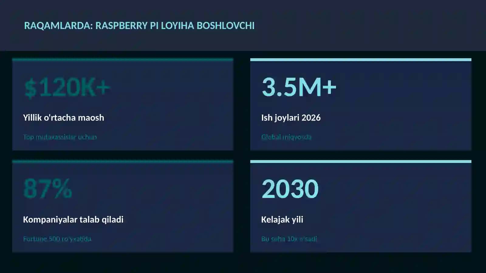 Raspberry Pi loyiha boshlovchi 3