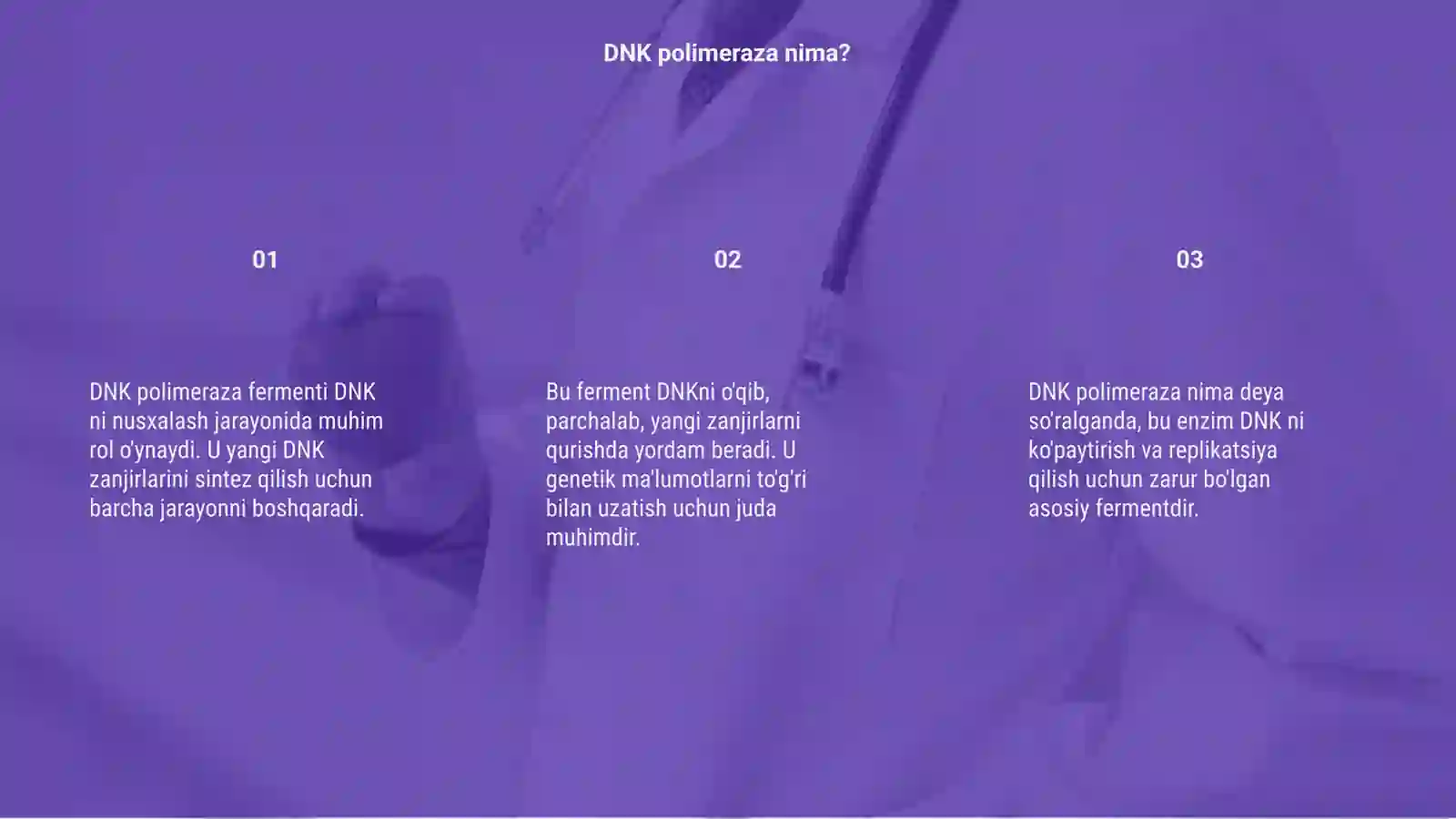 DNK polimiraza fermenti 3
