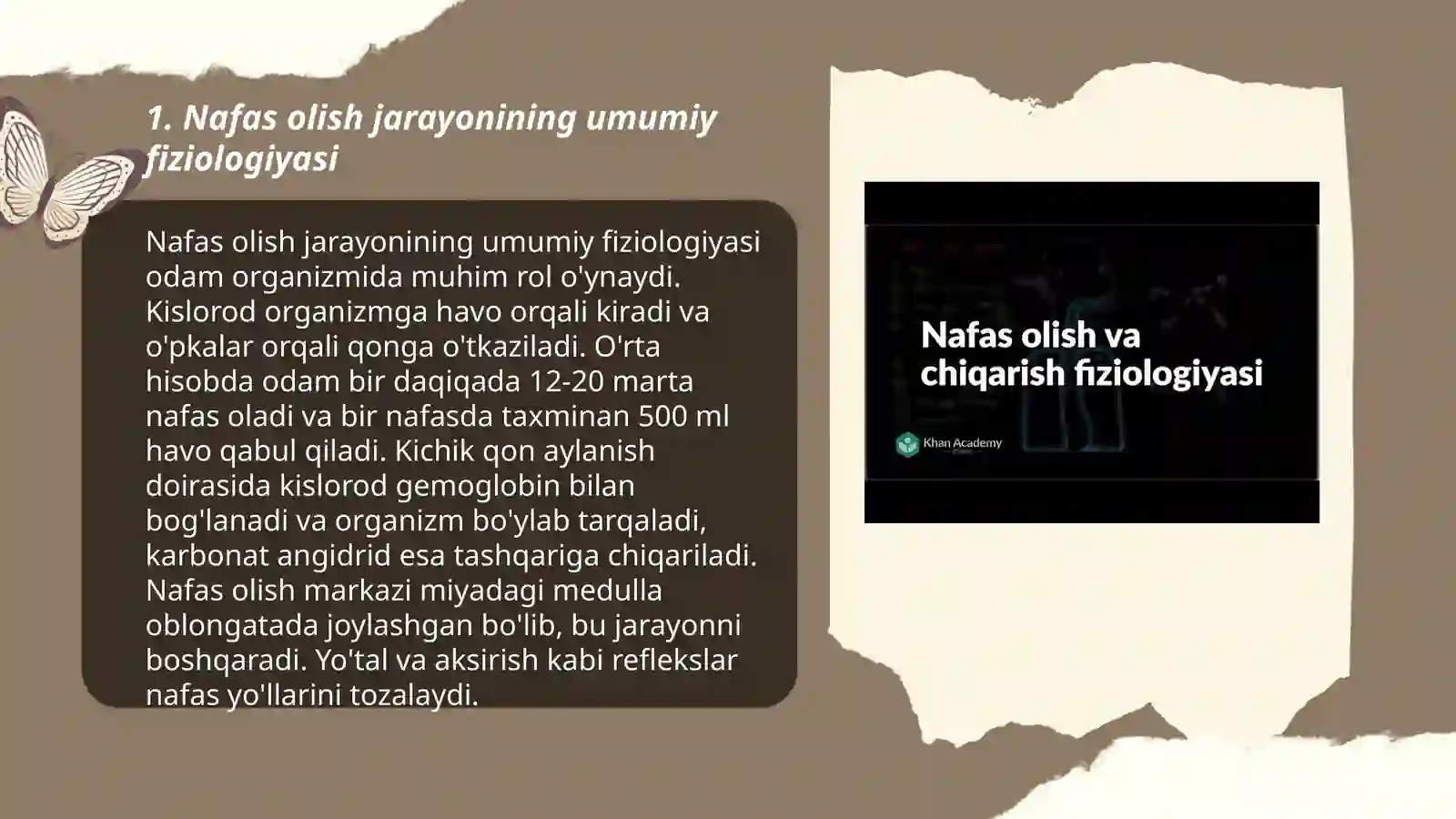 Nafas olish fiziologiyasi 3