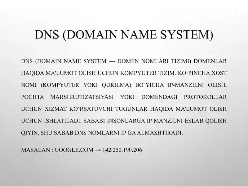 DHCP (Dynamic Host Configuration Protocol) 3