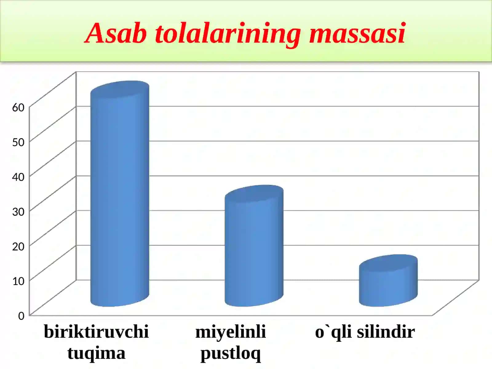 Nerv Sistemasi va Boshqarilishi 3