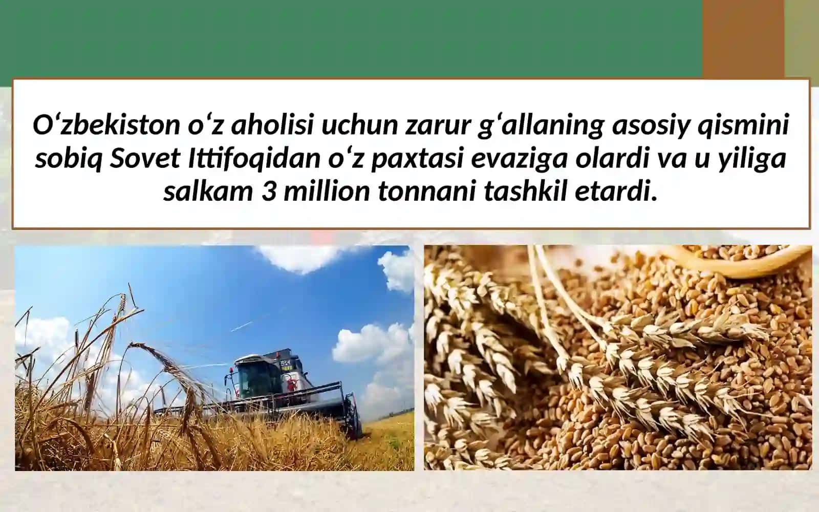 O‘zbekiston iqtisodiyoti dagi yutuqlar 3