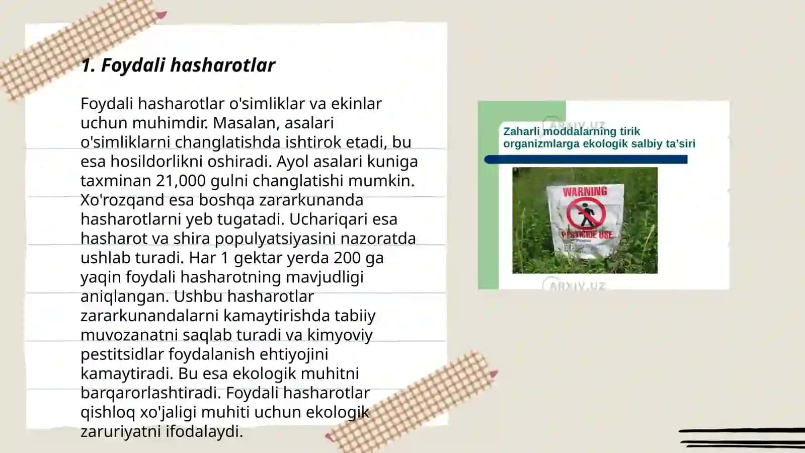 Foydali va zararkunanda hasharotlar - Nabiyeva Sadoqat 3