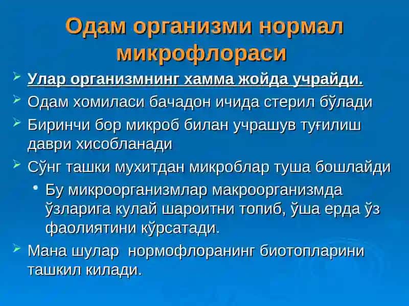 Микрофлора 3