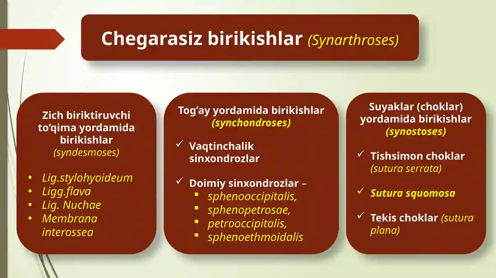 Artrosindesmologiyaga kirish. Umurtqa pog’onasi birikishi va boylamlari 3