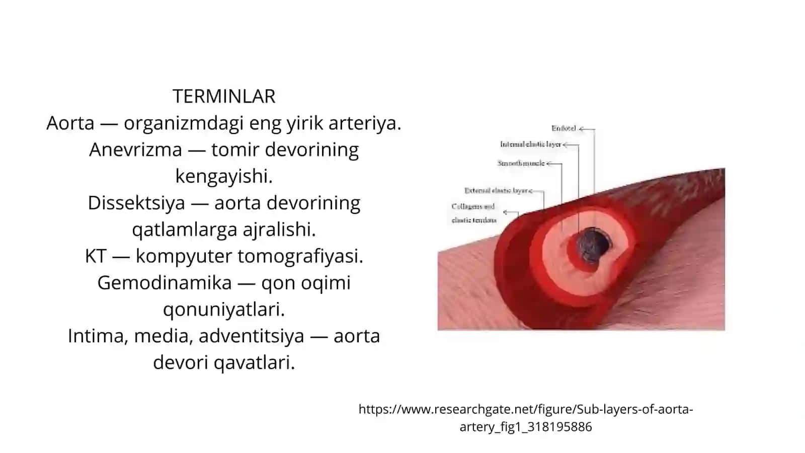 Aortaning patomorfologik-anatomik korrelyatsiyasi Aorta va  ichida klinik keys bor 3