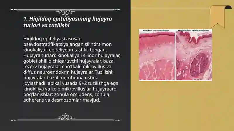 Hiqildoqning mikroskopik tuzilishi 3