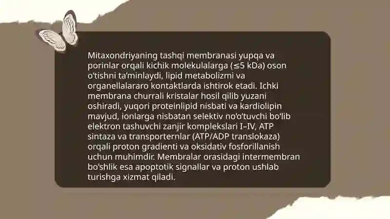 Mitaxondriyaning tuzilishi va boshqa organoidlar bilan aloqasi 3