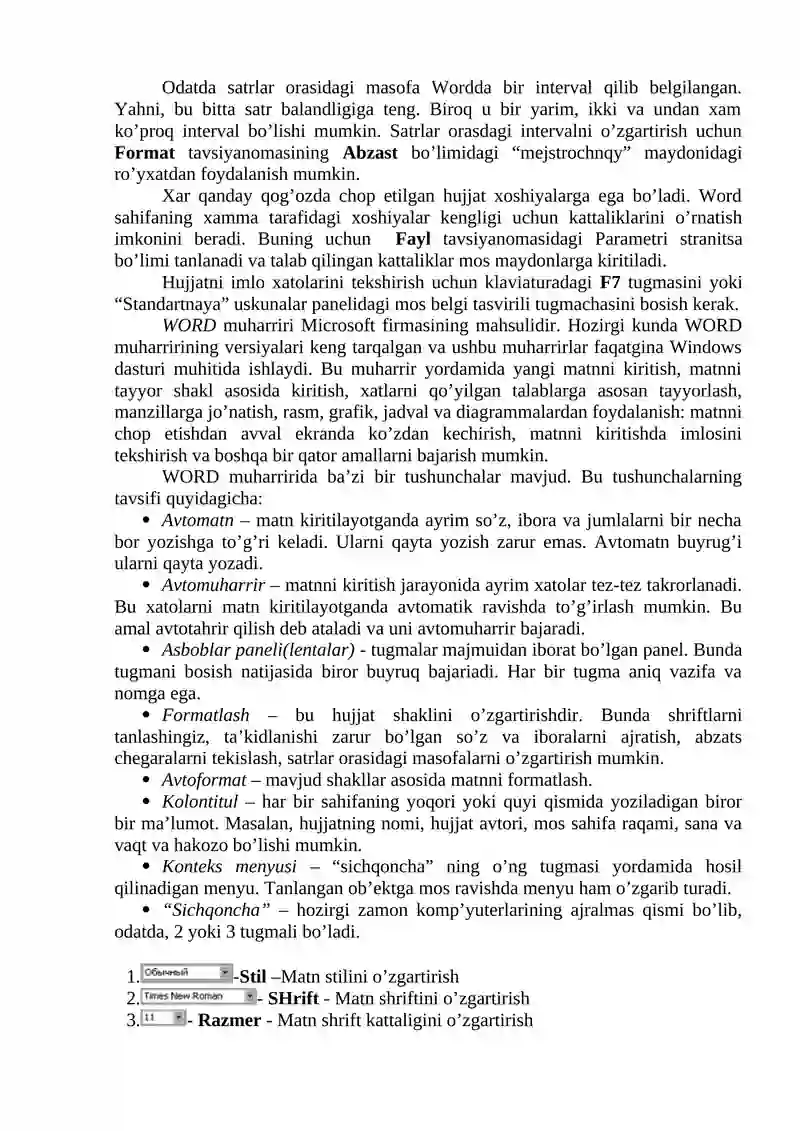 Microsoft Word 3