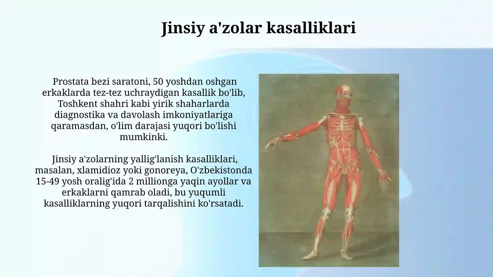 Kasalliklar klinik tasviri. Tana tuzilishiga oid ichki organlar 3