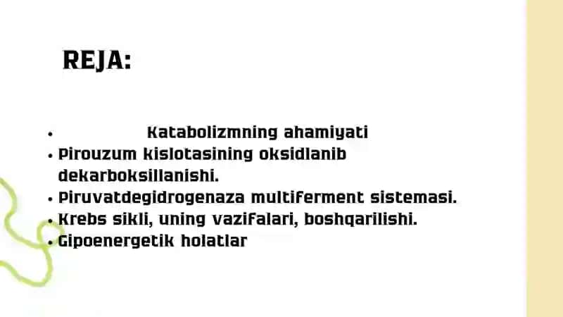 katabolizm 3