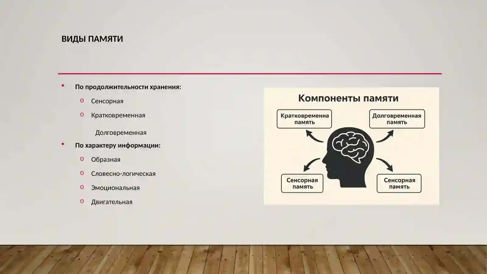Память. Развитие, старение и распад 3