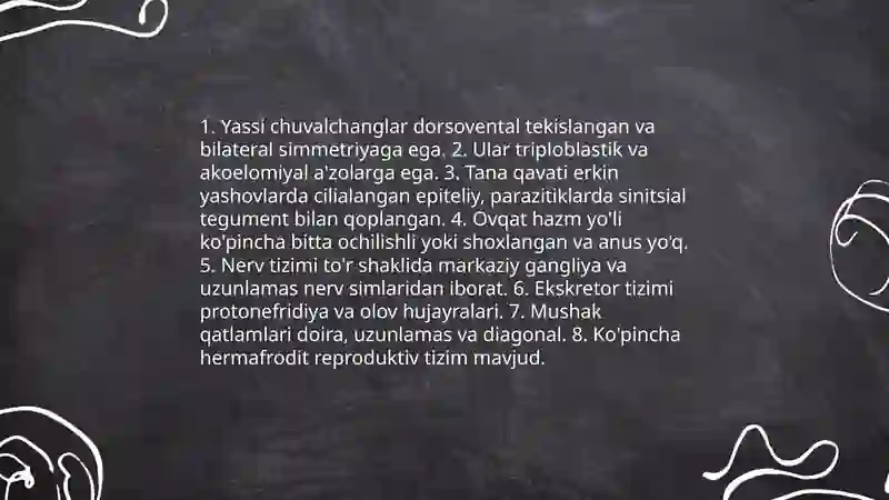 Yassi chuvalchanglar tipi 3