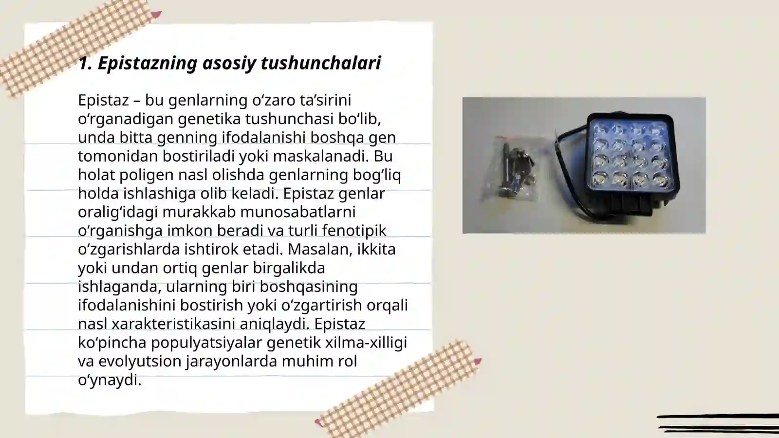 Epistaz ta'sir 3