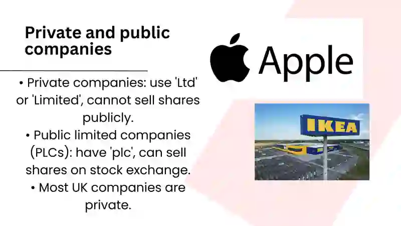 Company law 3