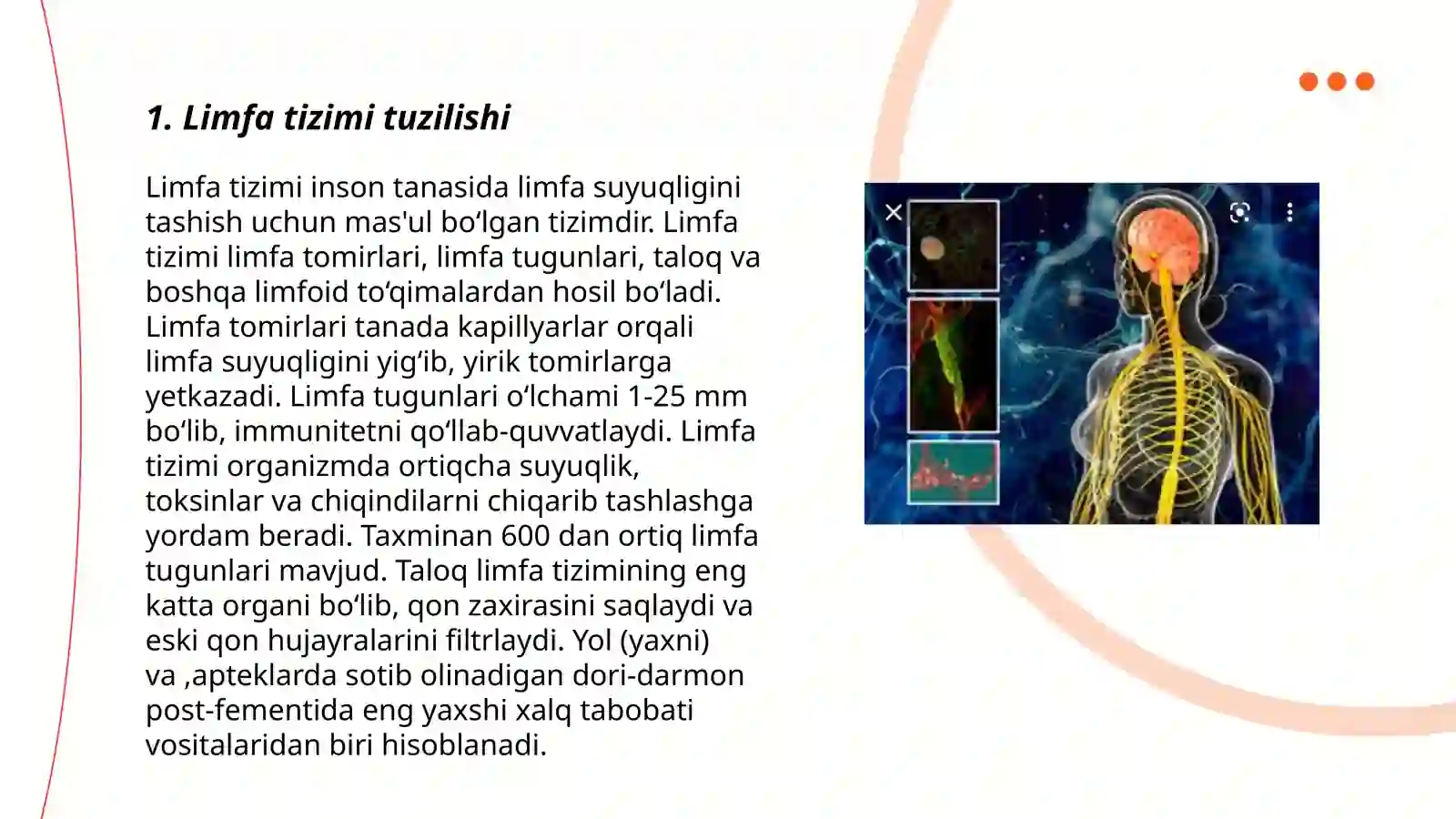 Limfa sistemasi 3