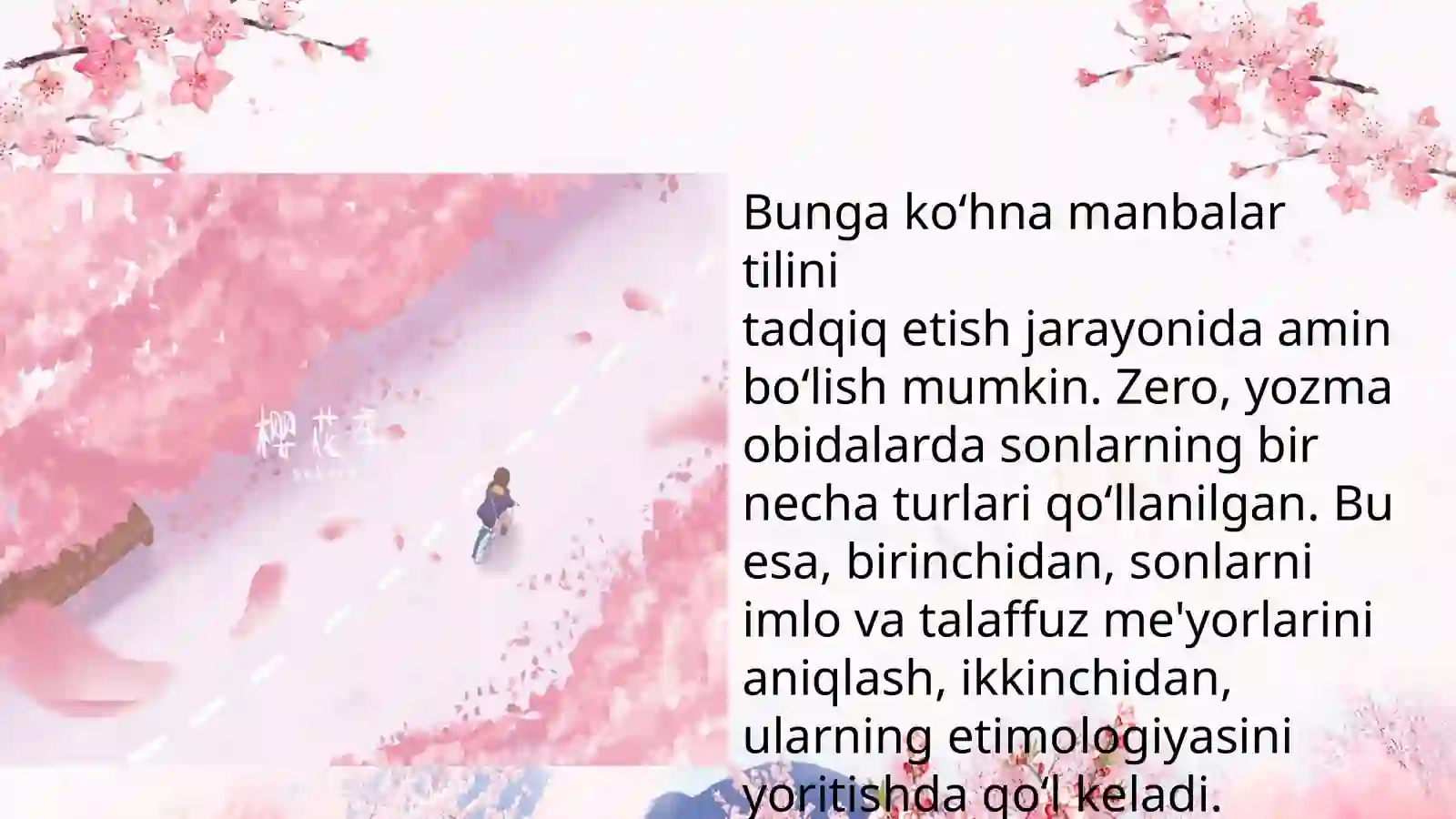 Son so‘z turkumi 3