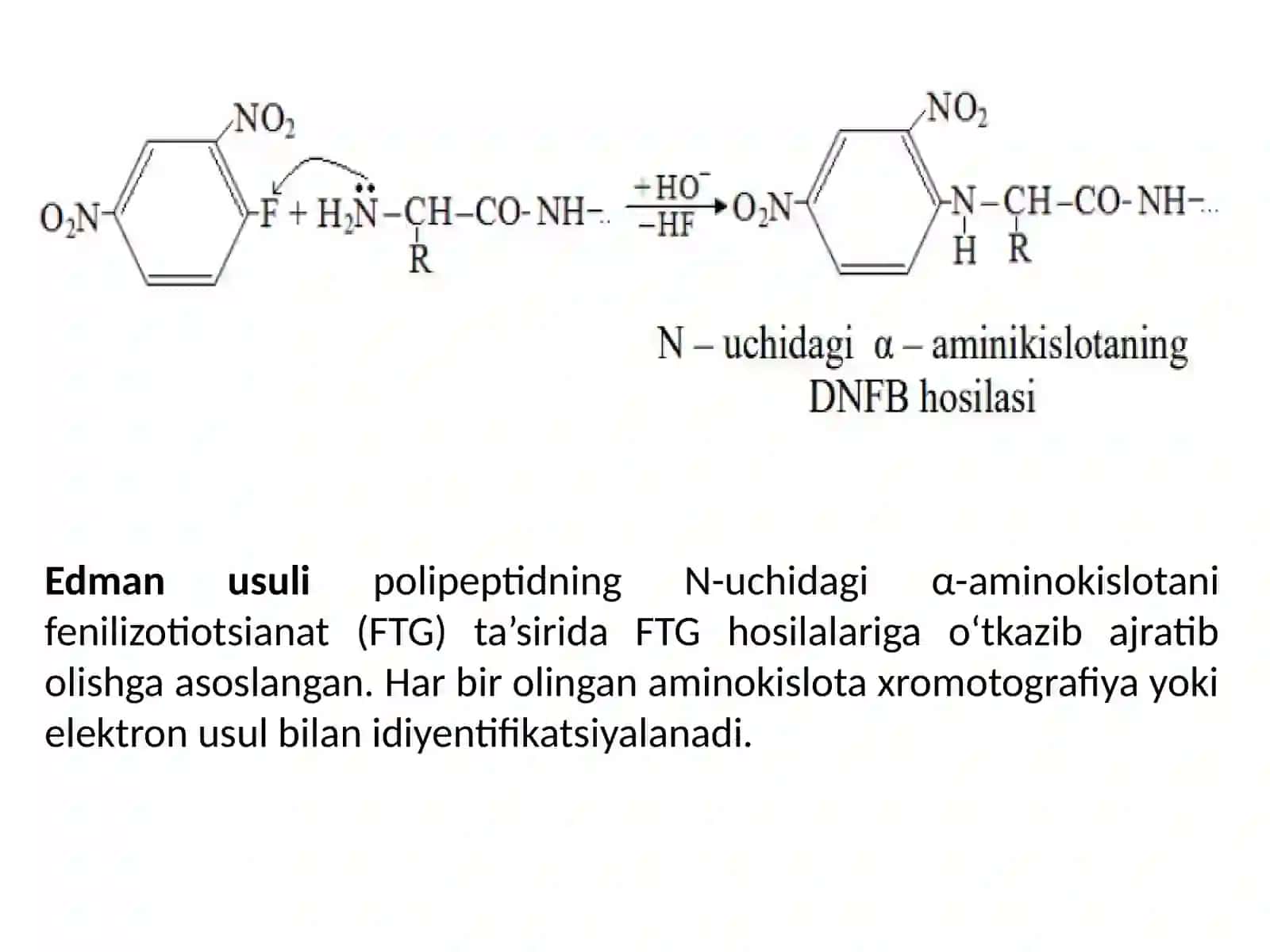 Polipeptidzanjiritarkibinianiqlashusullari.Polipeptidtoksinlar 3
