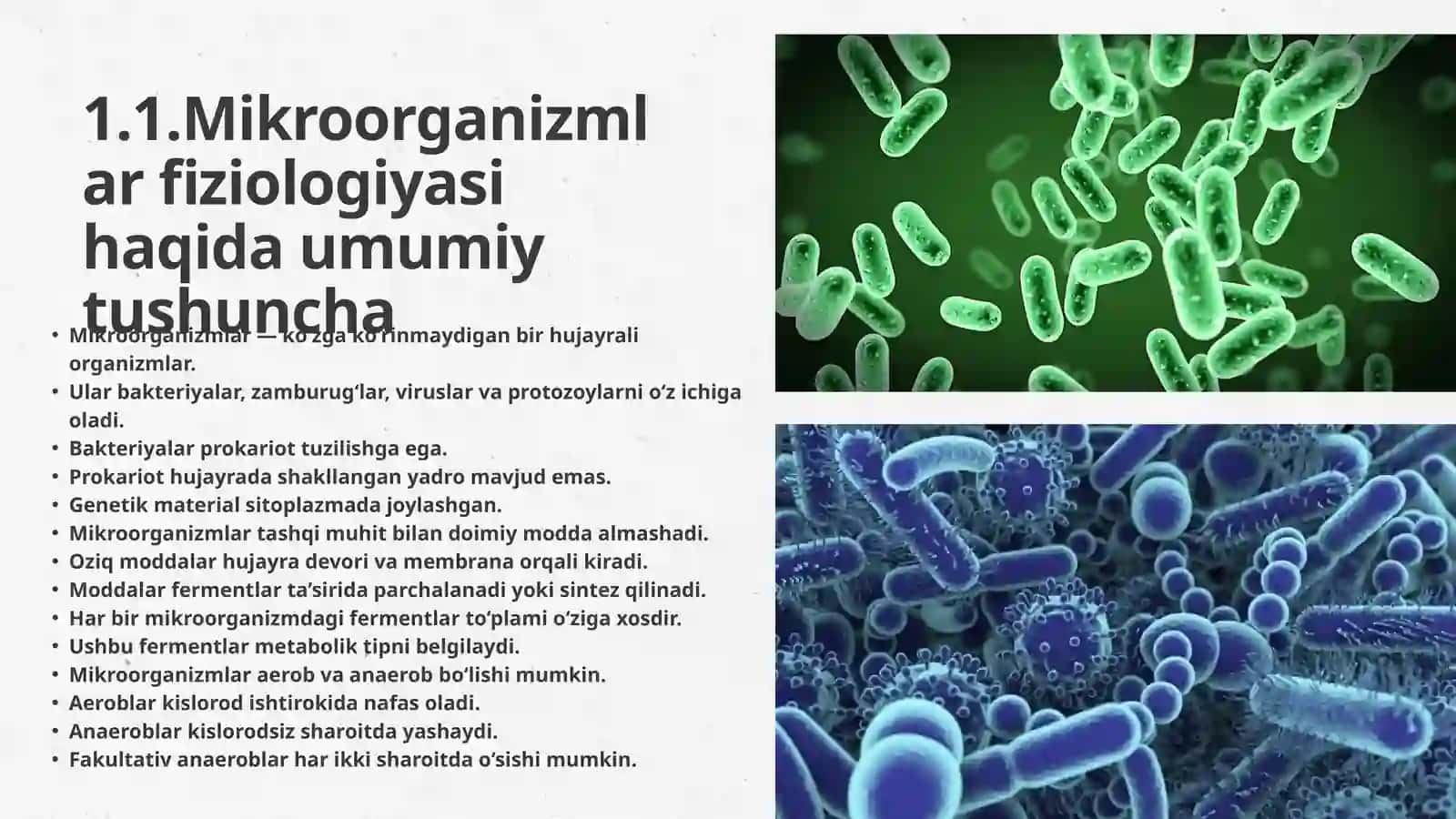 MIKROORGANIZMLAR FIZIOLOGIYASI, MIKROORGANIZMLARNI O‘STIRISH VA SOF KULTURA AJRATIB OLISH USULLARI. 3