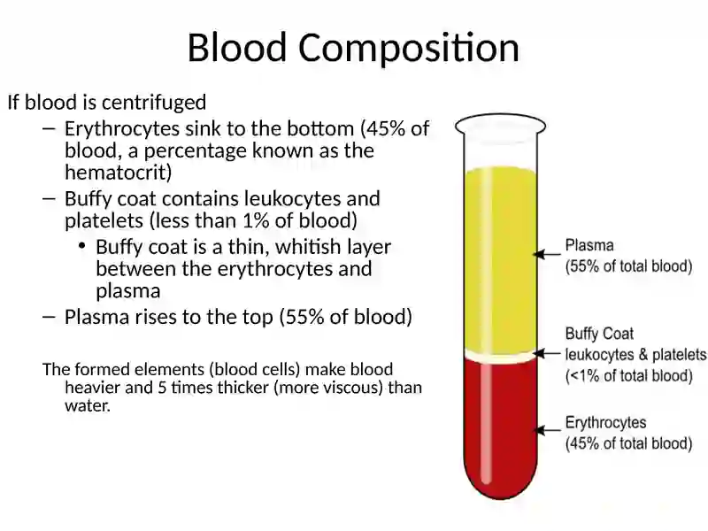 Components of Blood 3