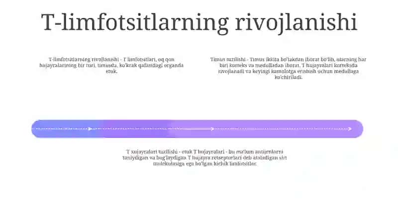 Timusdagi T Limfotsitlar Tuzilishi 3
