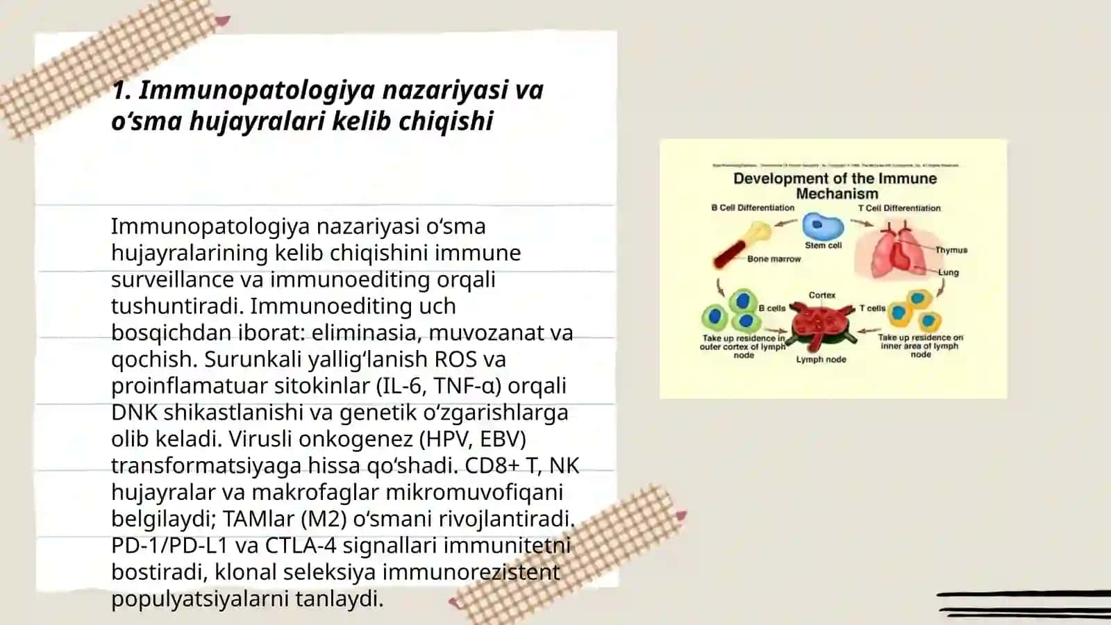 Immunopatologiya, uning o‘sma hujayralari kelib chiqishidagi ahamiyati 3