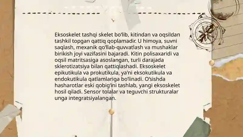 Hasharotlarni tashqi tuzilishi tana boʻlimlari va undagi organlari 3