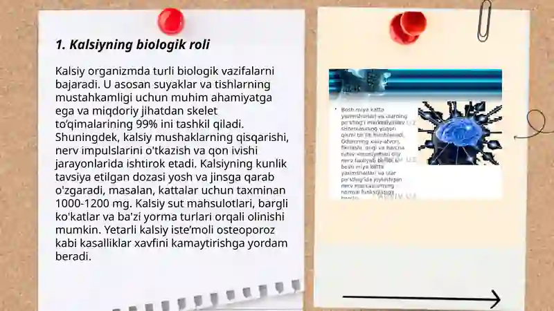 Kalsiy magniy ruh haqida va organizmga tasiri 3