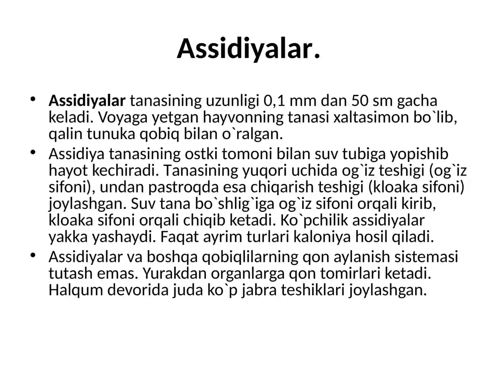 Lichinka xordalilar kenja tipining umumiy tavsifi va sistematikasi 3