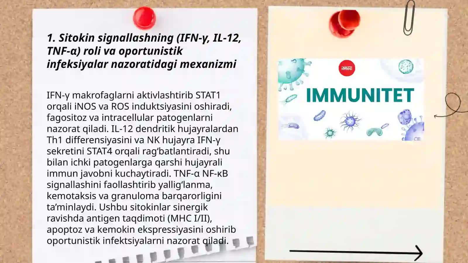 Immun tanqisliklarda opportunistik infeksiyalar boshqarilishining molekulyar mexanizmi 3