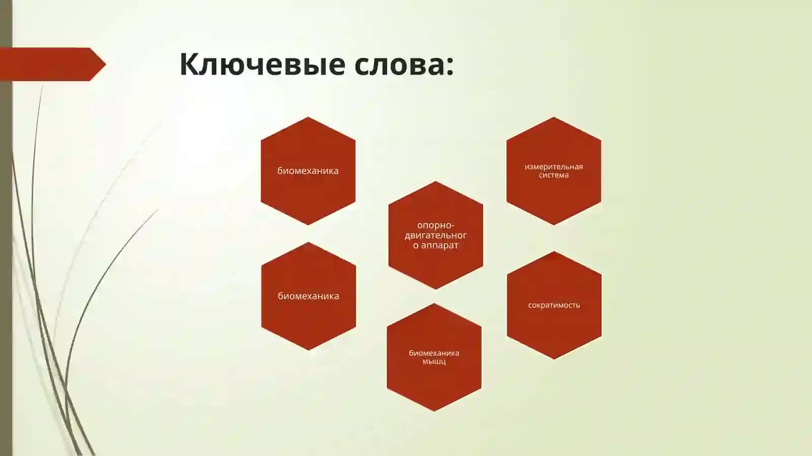 ЛЕКЦИЯ№3Тема: Биомеханика 3