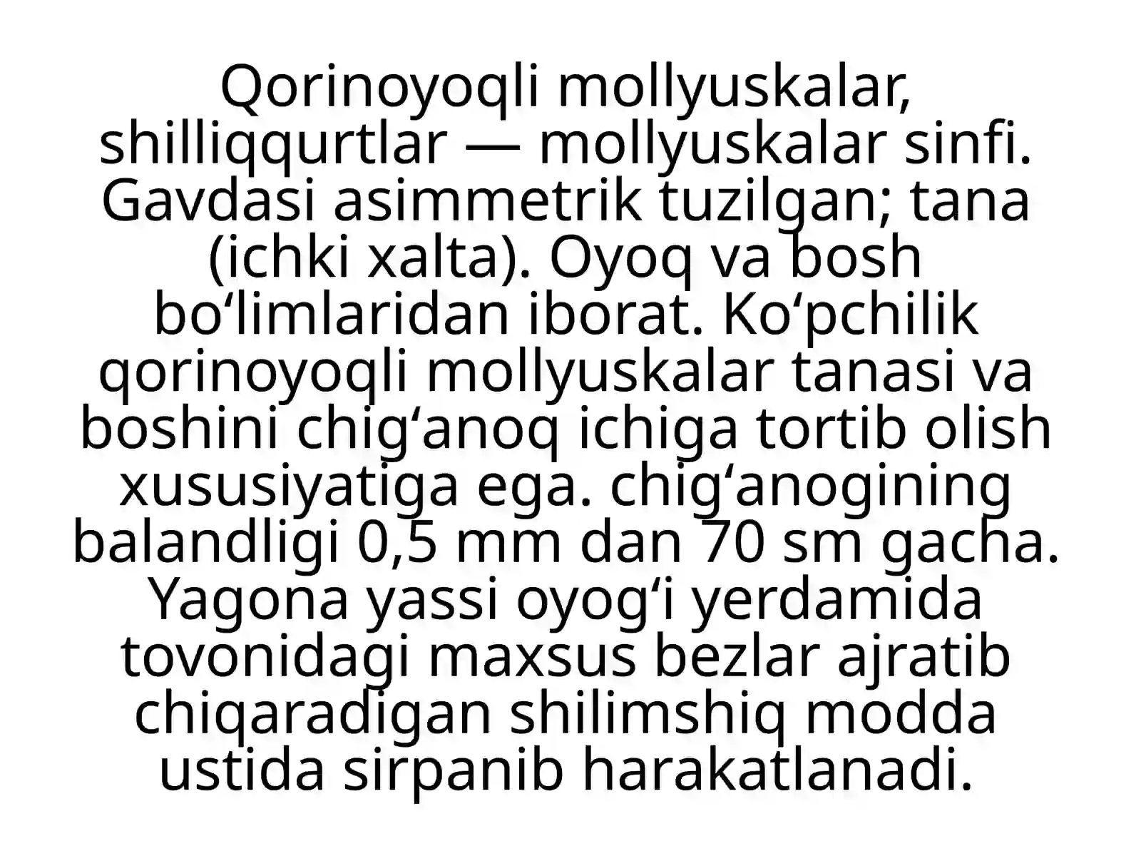 Qorinoyoqlimollyuskalar sinfi 3