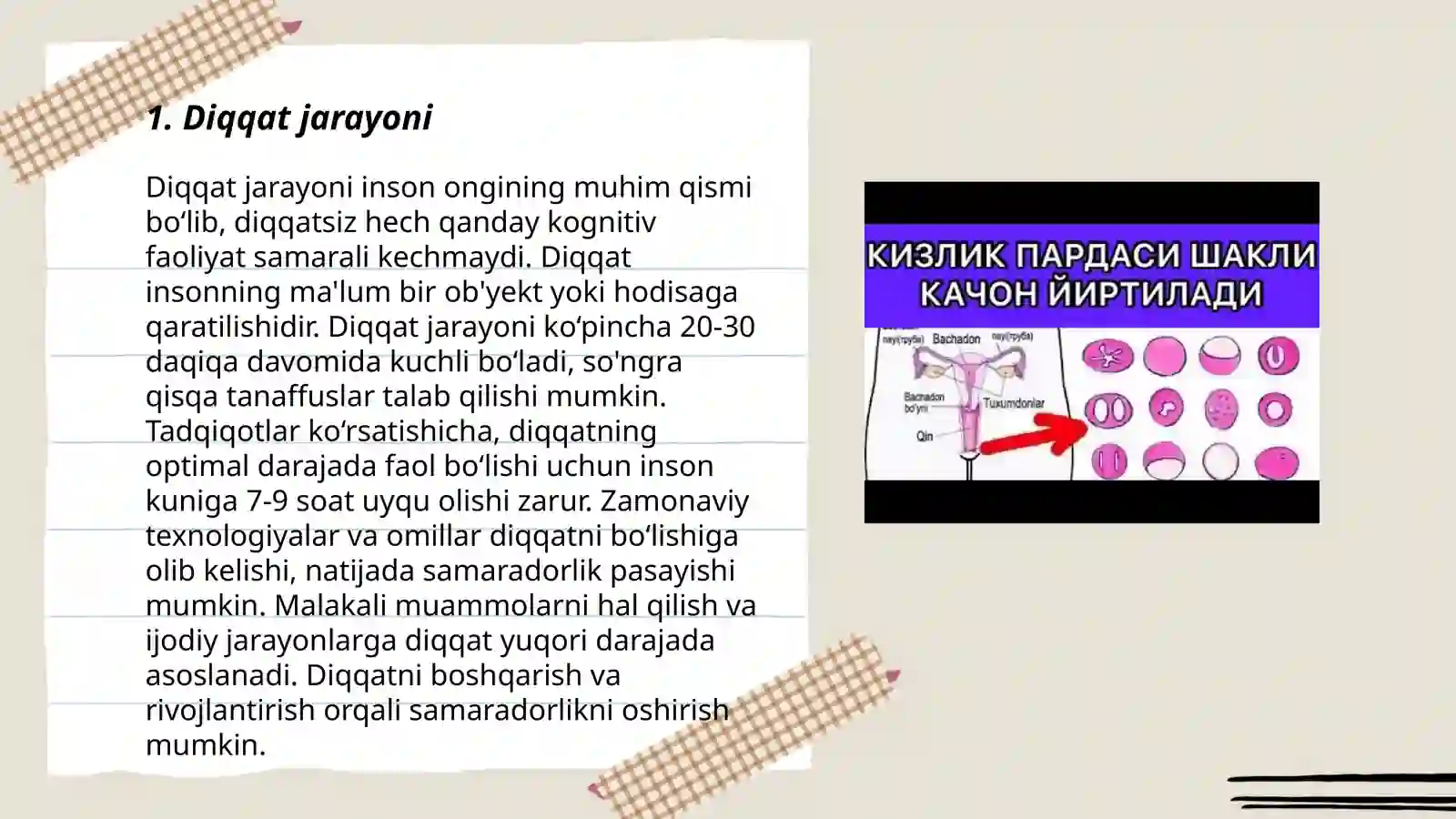 Diqqat jarayoni 3