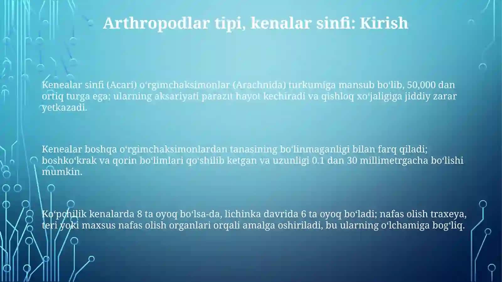 Boʻgʻimoyoqlilartipi.Kanalarturkumi 3