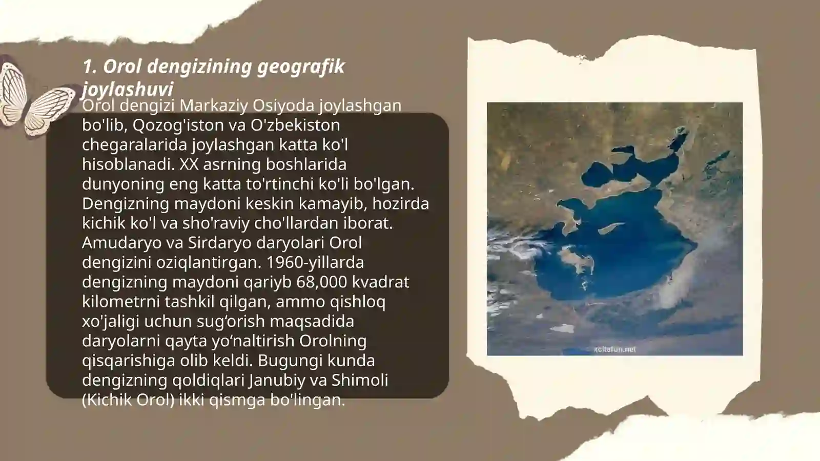 Orol dengizi haqida 3