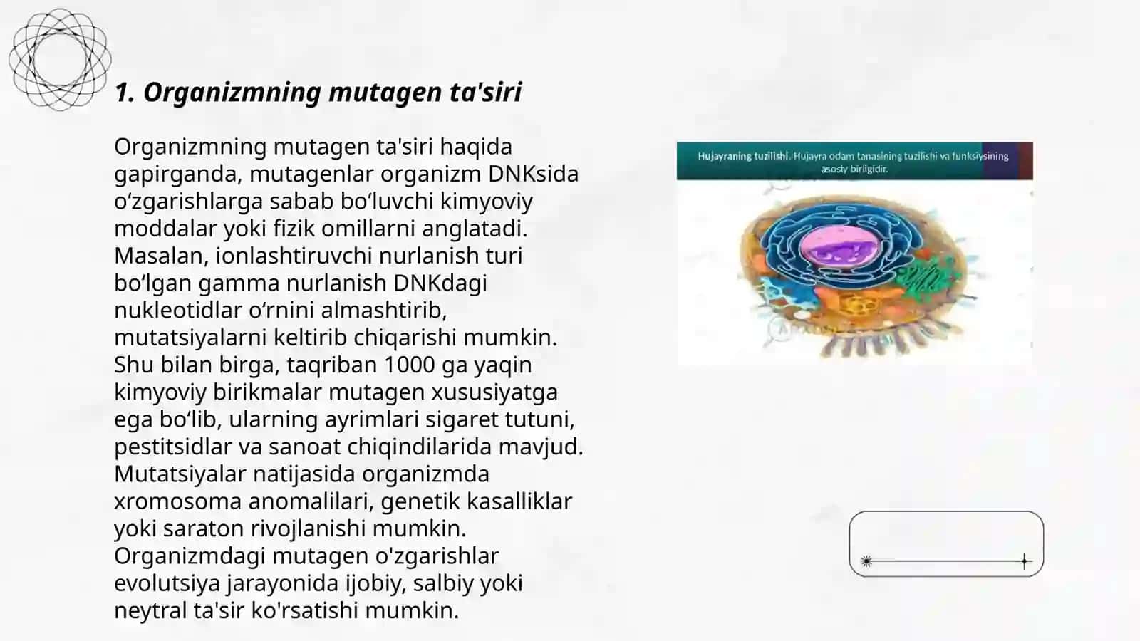 Organizmning mutagen ta'siriga chidamliligi. Tomas Morganning xromosa nazariyasi. Jins genetikasi 3
