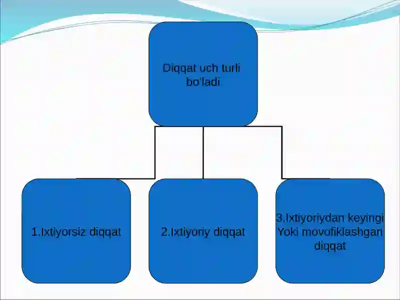Diqqatuchturli 3