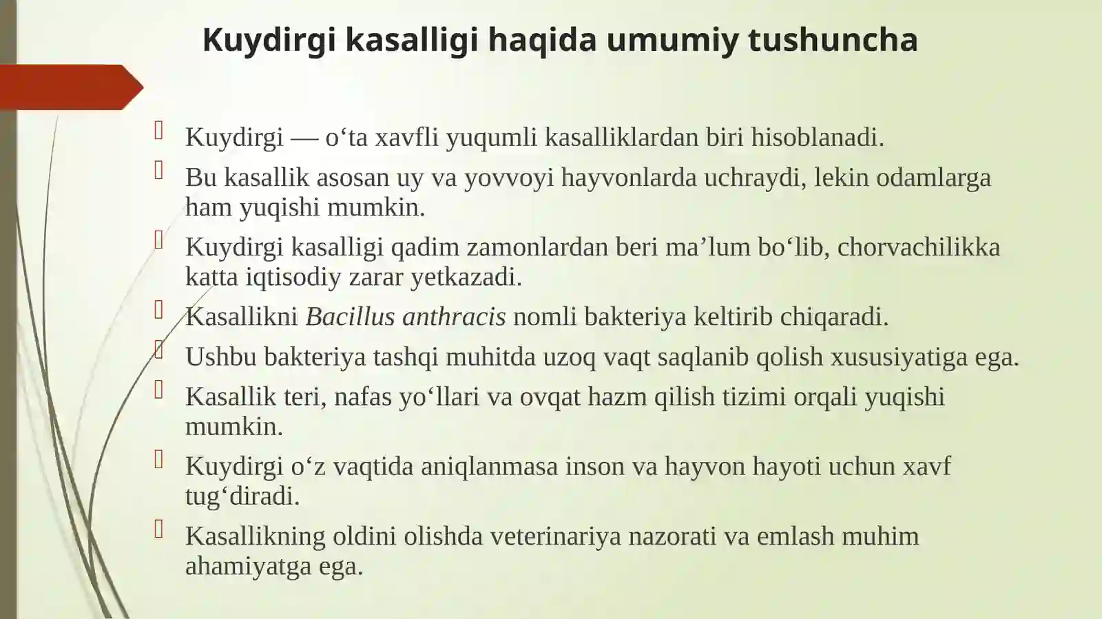 Kuydurgi 3