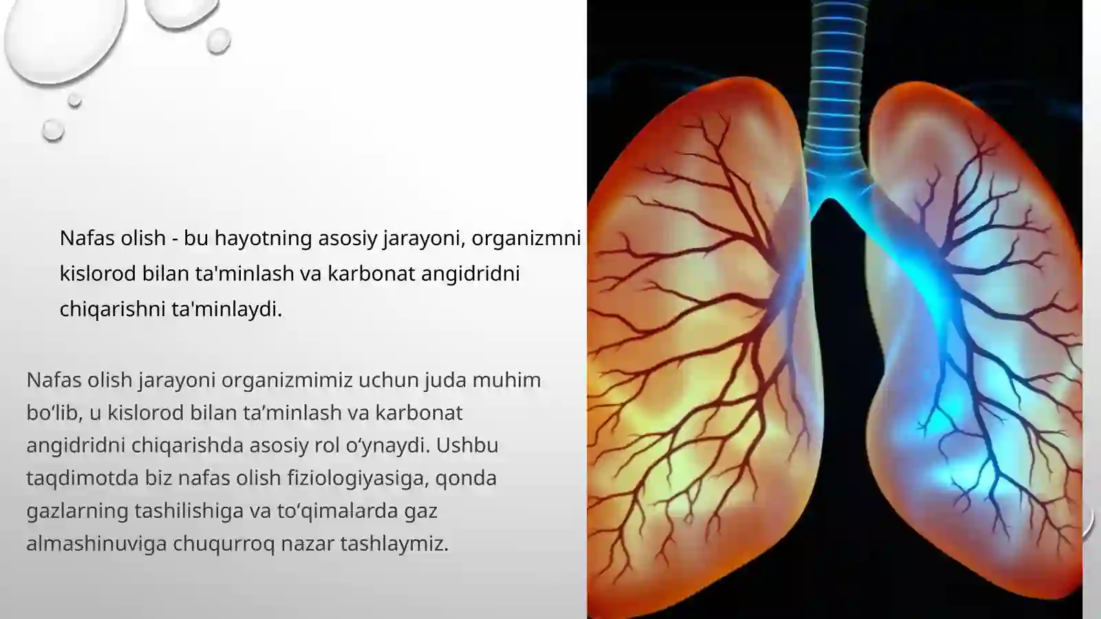 Toshkent Tibbiyot Akademiyasi 1-son davolash fakulteti 216-aguruh TALABASI 3