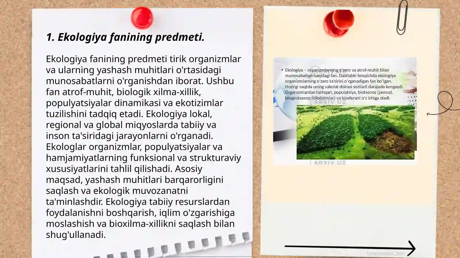 Ekologiya va atrof muhit muhofazasi 3