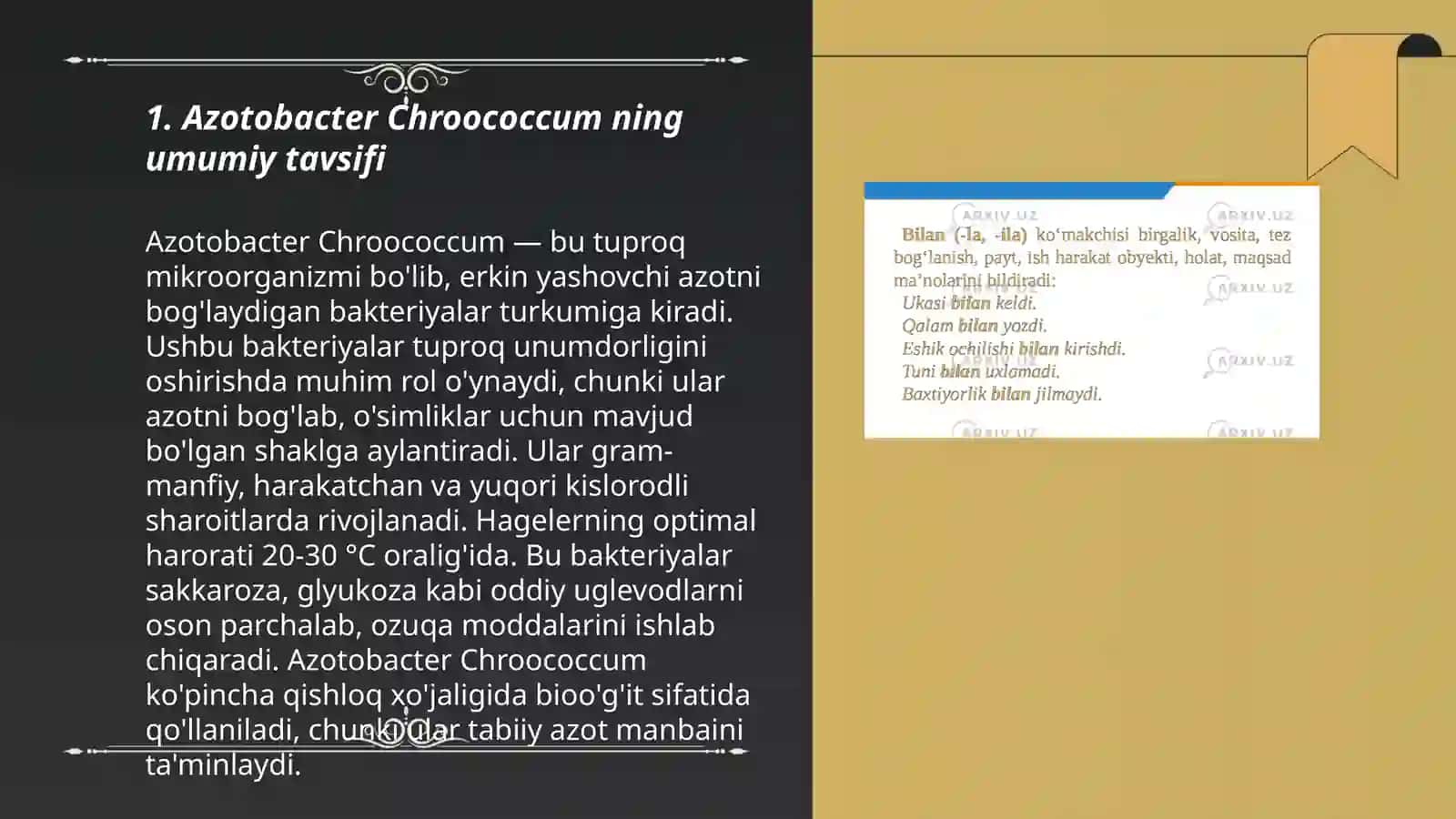 Azotobacter Chrooccumni ajratib olish va fiziologiyasini tahlil qilish 3