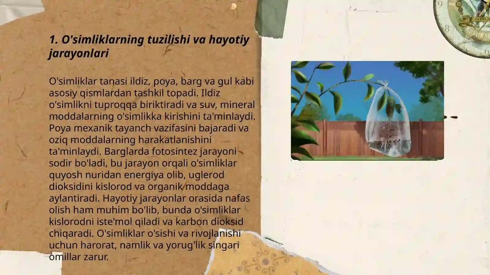 O‘simliklar fiziologiyasiga hissa qo‘shgan O‘zbek olimlarini olib borgan ilmiy tadqiqot ishlari 3