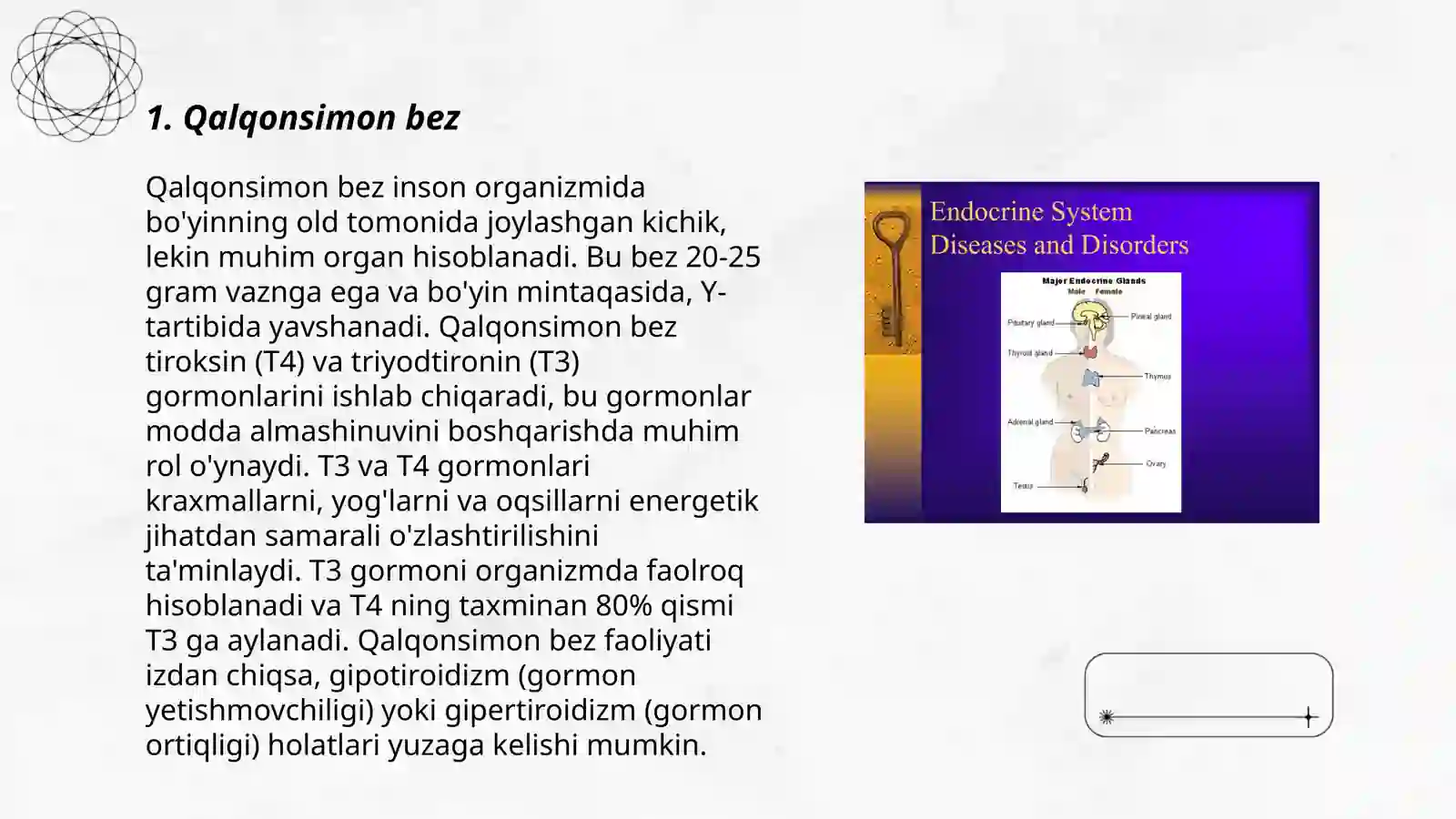 Qalqonsimon bez 3