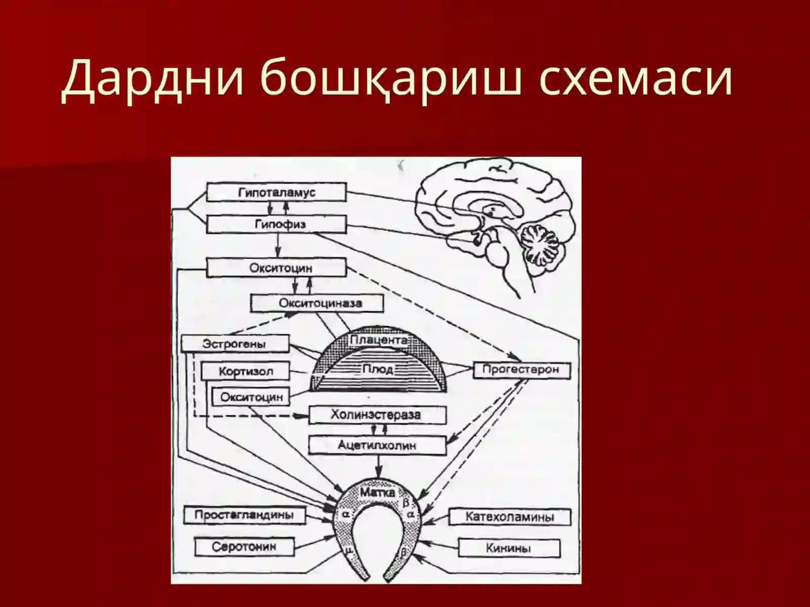 ДАРД ТУТИШ НУКСОНЛАРИ 3